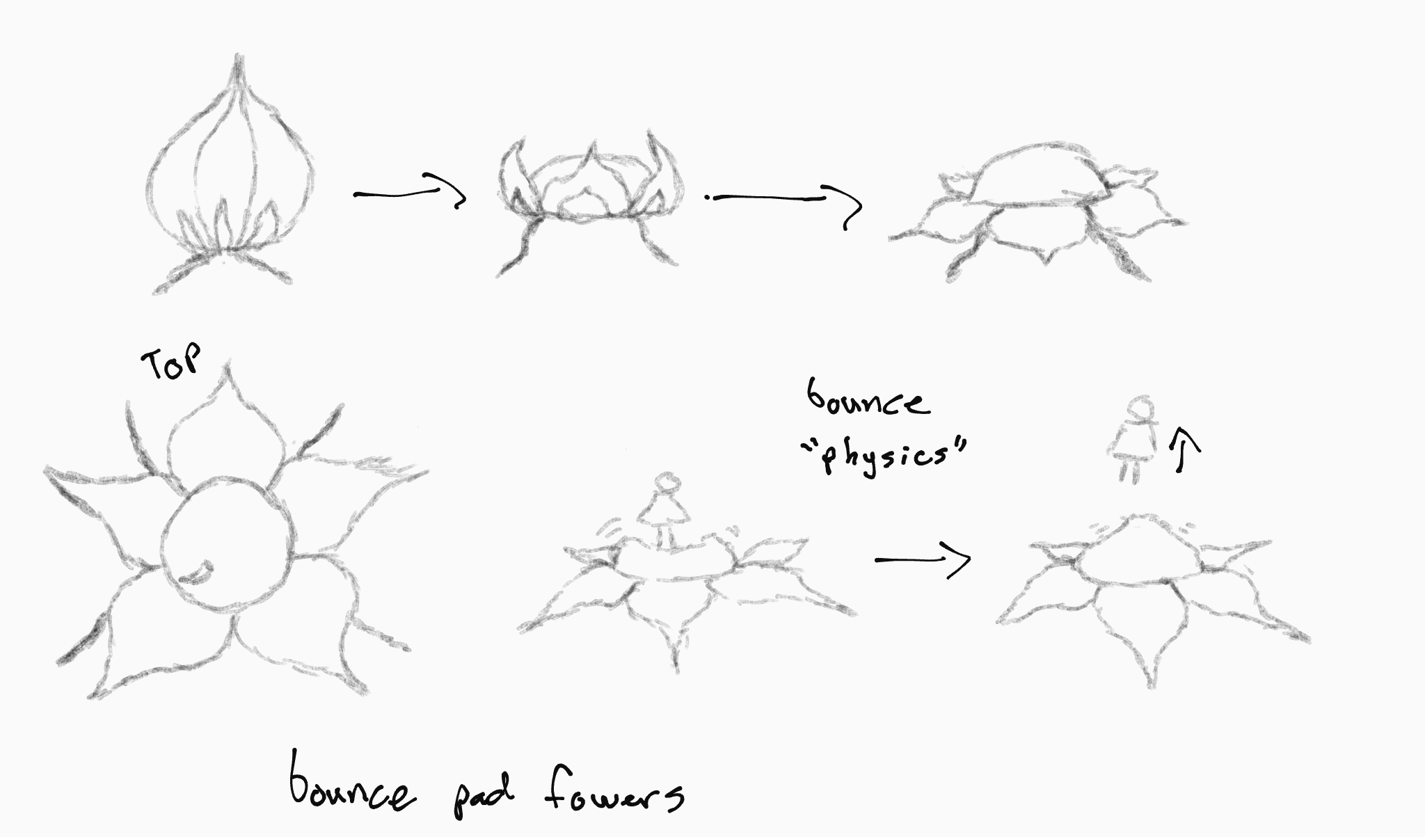 Bounce pad flower animation sequence
